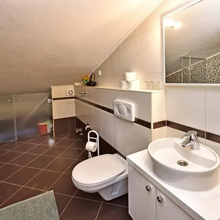 House Tomic For Max 22 Persons Maj Porec