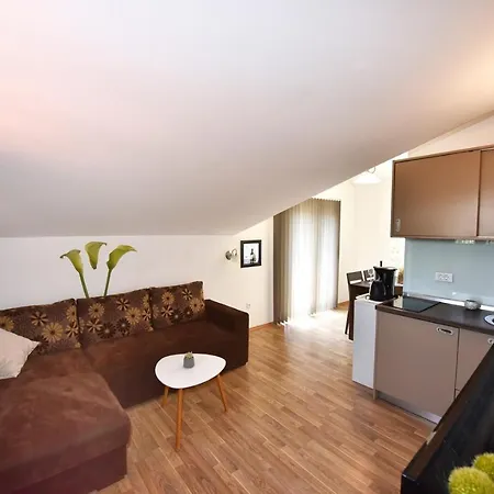 House Tomic For Max 22 Persons Maj Pensjonat 3*